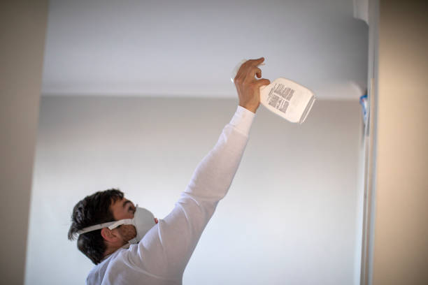 Best Post-Flood Mold Remediation in Burlington, KY